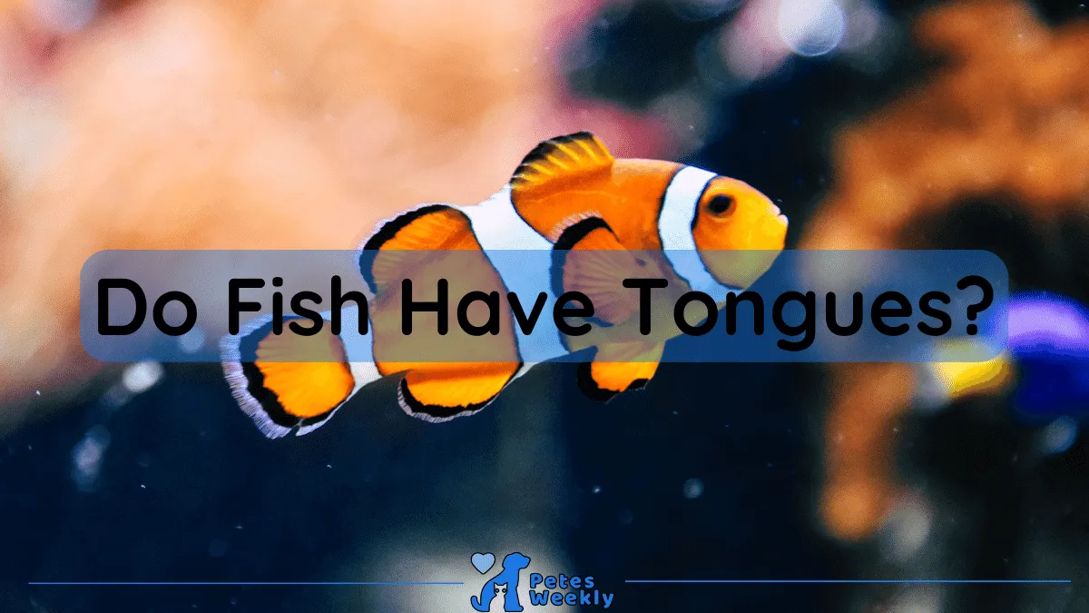 do fish have tongues
