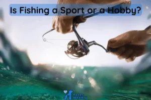 Is Fishing a Sport or a Hobby?